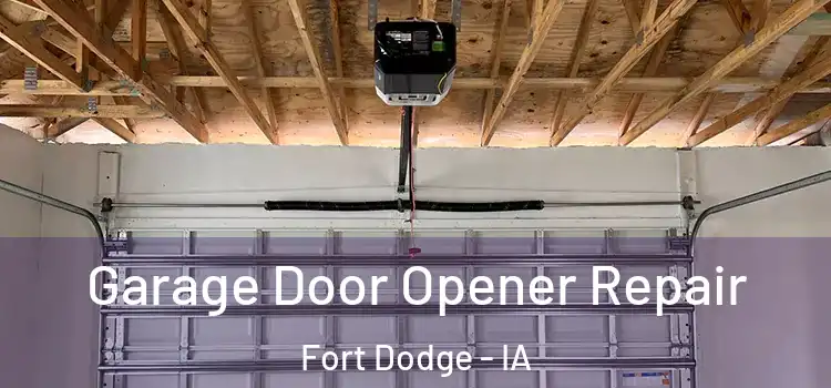  Garage Door Opener Repair Fort Dodge - IA